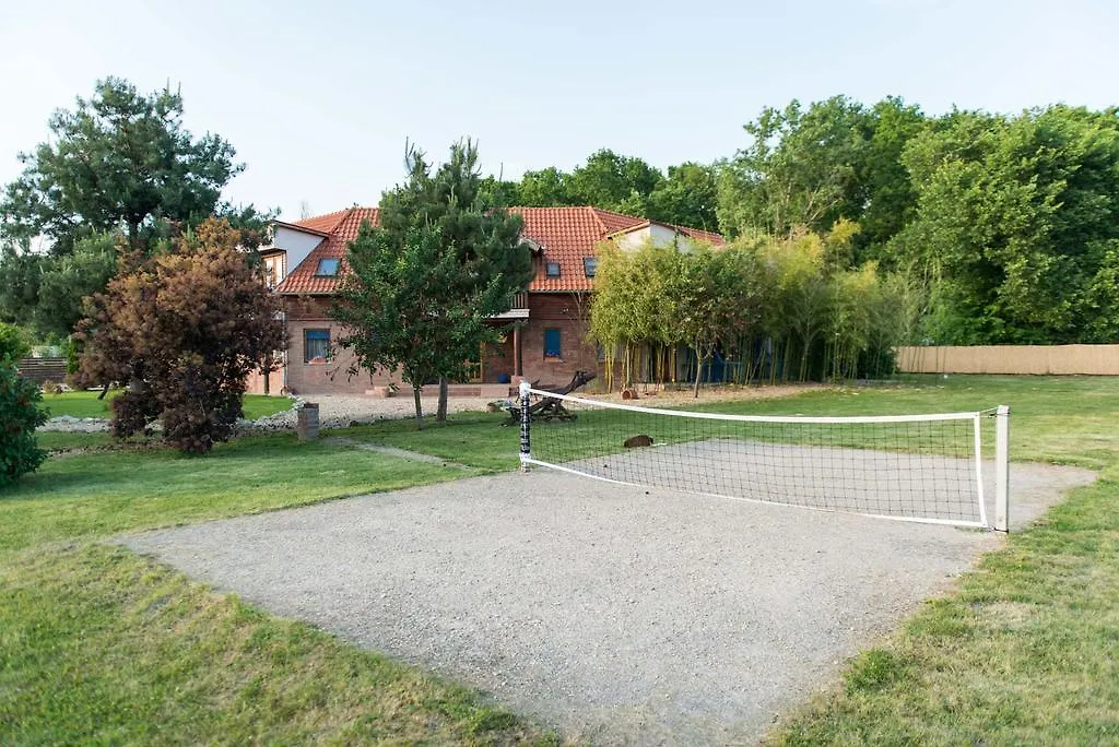 Vendégház OwlCastle-Bagolyvár Hajdúszoboszló